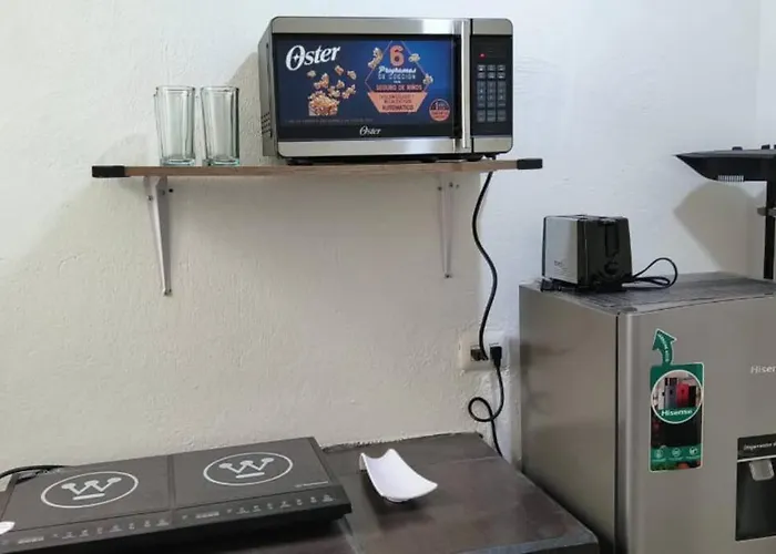 Departamento Encanto Sipeh En Xalapa